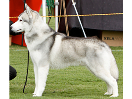 2011-champ-ID